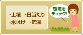 ・土壌・日当たり・水はけ・気温