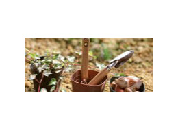 有限会社八丈園芸