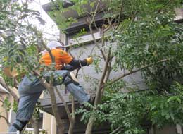 株式会社 緑化隊