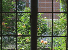 ベランダ ローズガーデン サポート